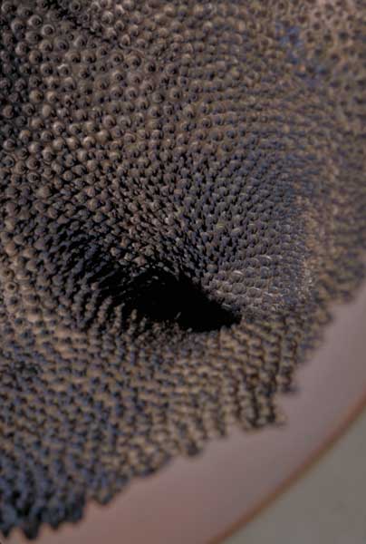 Bowl Number Twenty-three