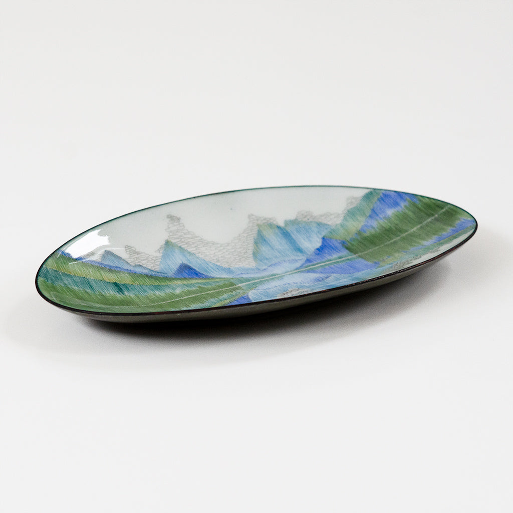 Reflect, enamel bowl