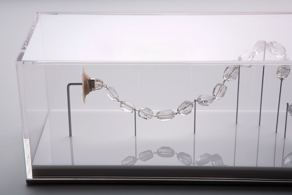 Contradictor (print)