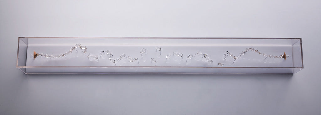 Contradictor (print)