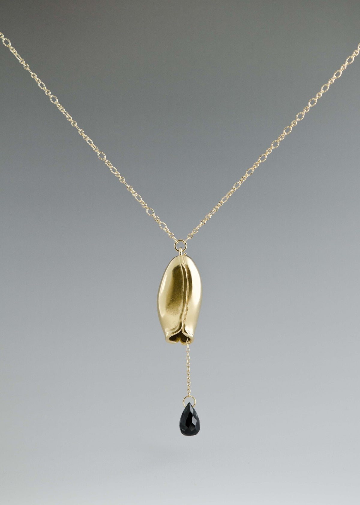 Long pod and black onyx necklace