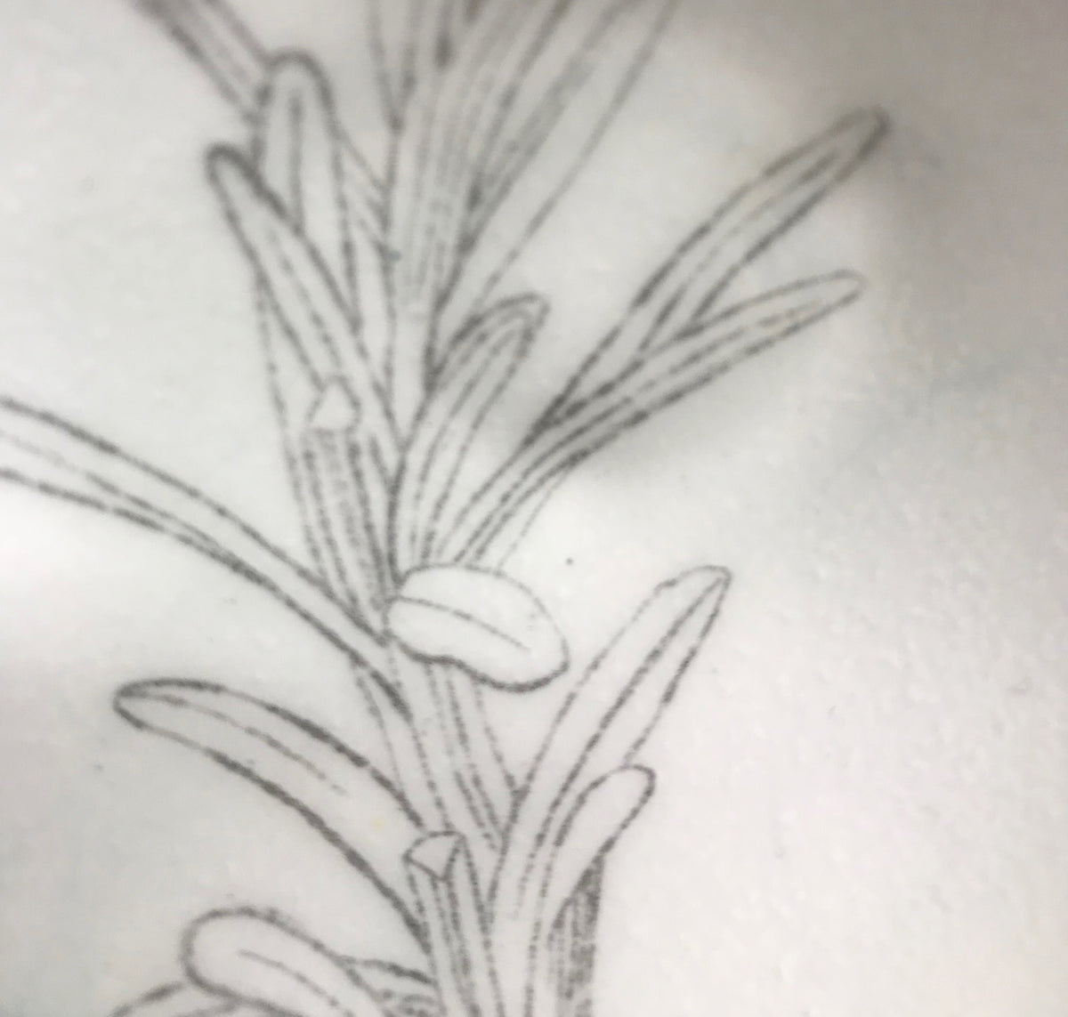 Herb Enamelware Bowls, handmade art gift for the kitchen